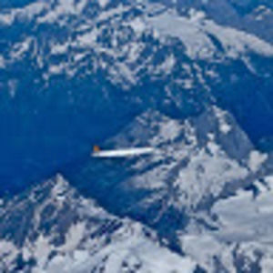 Meet your Posher, Henry